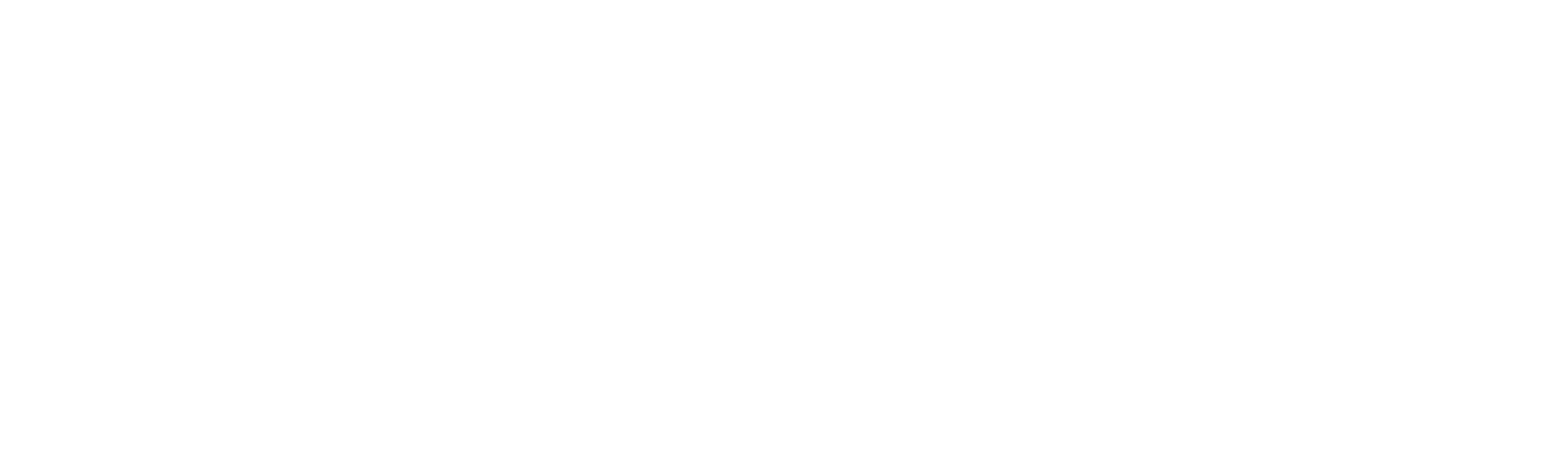 White logo - no background.png