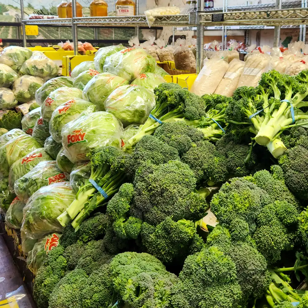 healthcare culinary professional preparing fresh nutritious meals in a commercial kitchen